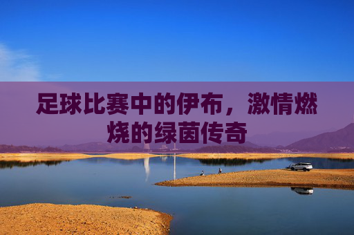 足球比赛中的伊布,激情燃烧的绿茵传奇