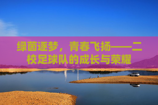 绿茵逐梦,青春飞扬——二校足球队的成长与荣耀