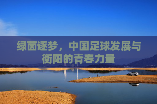绿茵逐梦,中国足球发展与衡阳的青春力量
