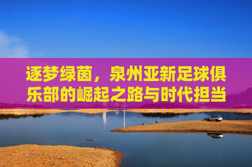 逐梦绿茵,泉州亚新足球俱乐部的崛起之路与时代担当