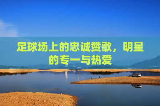 足球场上的忠诚赞歌,明星的专一与热爱