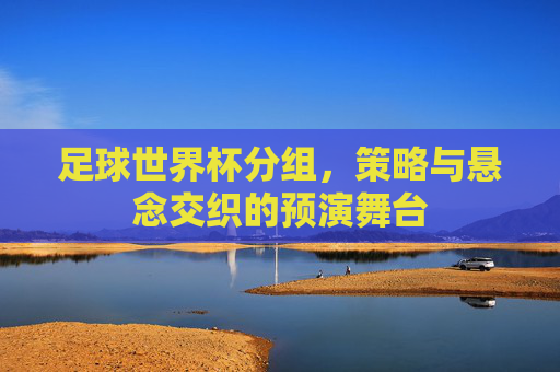足球世界杯分组，策略与悬念交织的预演舞台