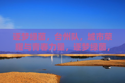 逐梦绿茵，台州队，城市荣耀与青春力量，逐梦绿茵，台州队，城市荣耀与青春力量