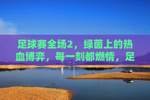 足球赛全场2，绿茵上的热血博弈，每一刻都燃情，足球赛全场2，绿茵热血博弈，燃情每一刻