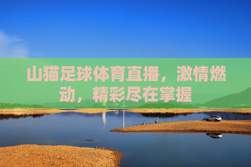 山猫足球体育直播,激情燃动,精彩尽在掌握