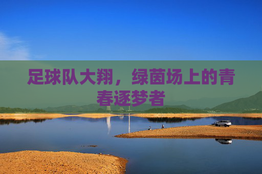 足球队大翔,绿茵场上的青春逐梦者
