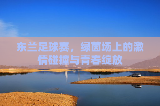 东兰足球赛，绿茵场上的激情碰撞与青春绽放