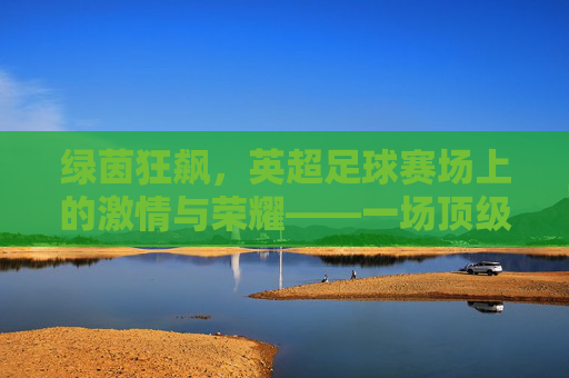 绿茵狂飙，英超足球赛场上的激情与荣耀——一场顶级联赛的视觉与精神盛宴