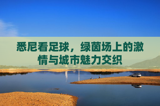 悉尼看足球,绿茵场上的激情与城市魅力交织