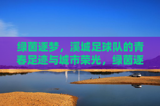 绿茵逐梦,溪城足球队的青春足迹与城市荣光,绿茵逐梦,溪城足球队的青春足迹与城市荣光