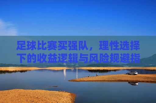 足球比赛买强队,理性选择下的收益逻辑与风险规避指南