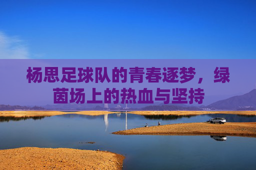 杨思足球队的青春逐梦,绿茵场上的热血与坚持
