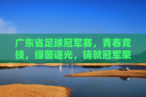 广东省足球冠军赛，青春竞技，绿茵逐光，铸就冠军荣光