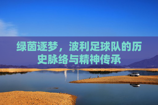 绿茵逐梦,波利足球队的历史脉络与精神传承