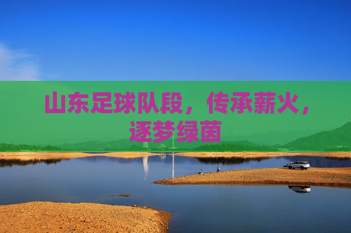 山东足球队段，传承薪火，逐梦绿茵