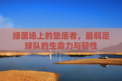 绿茵场上的垫底者，最弱足球队的生命力与韧性