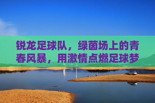 锐龙足球队，绿茵场上的青春风暴，用激情点燃足球梦想