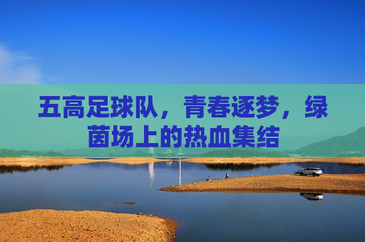 五高足球队，青春逐梦，绿茵场上的热血集结