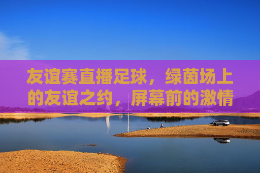 友谊赛直播足球,绿茵场上的友谊之约,屏幕前的激情共赏