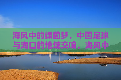 海风中的绿茵梦，中国足球与海口的地域交响，海风中的绿茵梦，中国足球与海口的地域交响