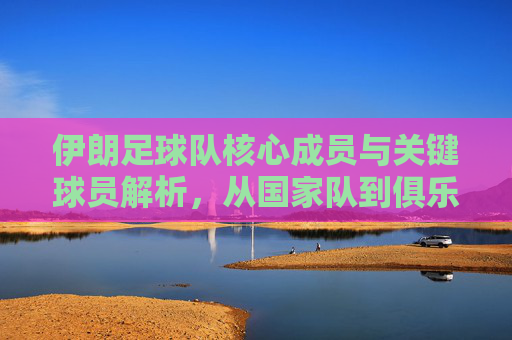 伊朗足球队核心成员与关键球员解析,从国家队到俱乐部的明星面孔