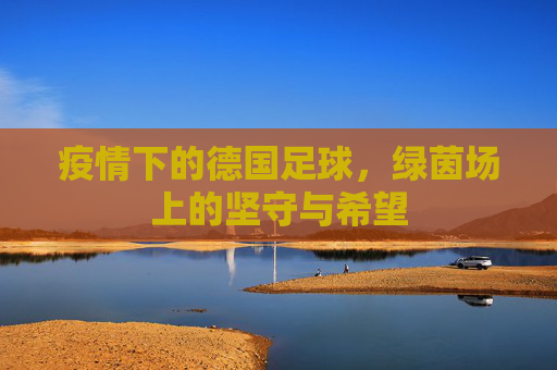 疫情下的德国足球,绿茵场上的坚守与希望