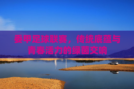 委甲足球联赛,传统底蕴与青春活力的绿茵交响