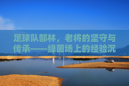 足球队郜林,老将的坚守与传承——绿茵场上的经验沉淀与团队贡献