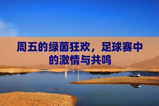 周五的绿茵狂欢，足球赛中的激情与共鸣