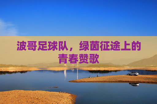 波哥足球队,绿茵征途上的青春赞歌