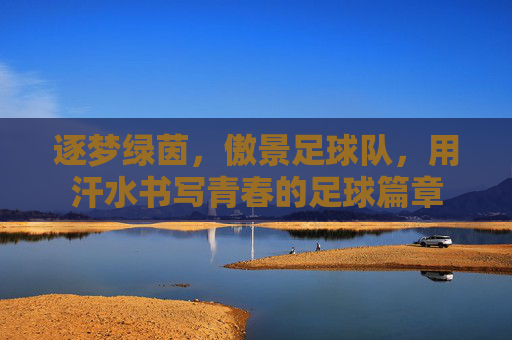 逐梦绿茵,傲景足球队,用汗水书写青春的足球篇章