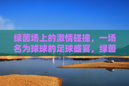 绿茵场上的激情碰撞,一场名为球球的足球盛宴,绿茵场激情碰撞,一场名为球球的足球盛宴