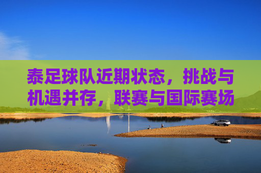 泰足球队近期状态,挑战与机遇并存,联赛与国际赛场的双线作战