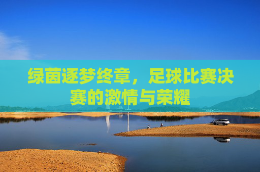 绿茵逐梦终章，足球比赛决赛的激情与荣耀