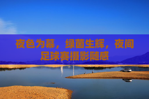 夜色为幕，绿茵生辉，夜间足球赛摄影随感