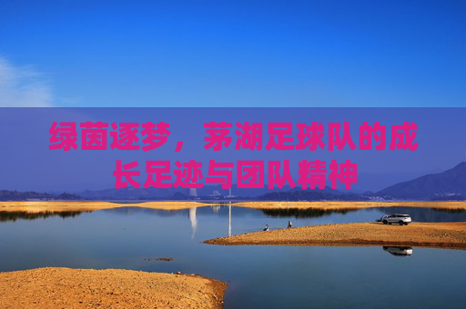 绿茵逐梦，茅湖足球队的成长足迹与团队精神