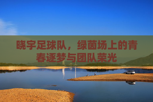 晓宇足球队,绿茵场上的青春逐梦与团队荣光