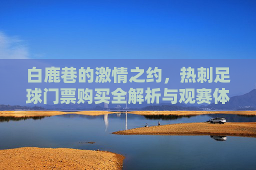白鹿巷的激情之约,热刺足球门票购买全解析与观赛体验指南