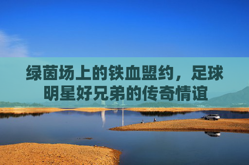 绿茵场上的铁血盟约,足球明星好兄弟的传奇情谊
