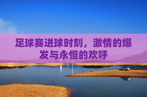 足球赛进球时刻,激情的爆发与永恒的欢呼