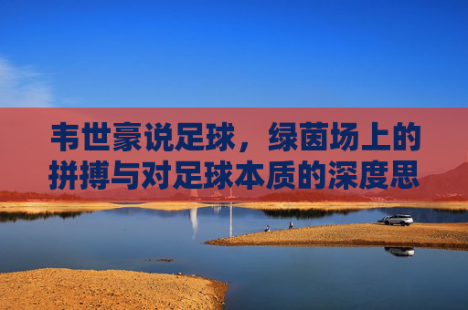 韦世豪说足球,绿茵场上的拼搏与对足球本质的深度思考