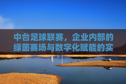 中台足球联赛，企业内部的绿茵赛场与数字化赋能的实践
