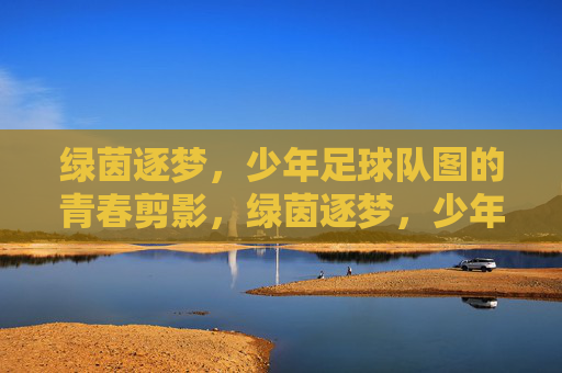 绿茵逐梦，少年足球队图的青春剪影，绿茵逐梦，少年足球队的青春剪影