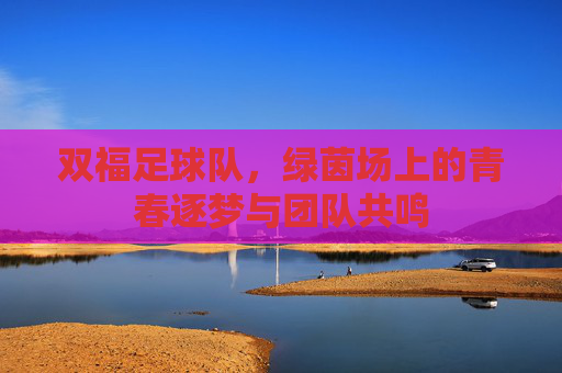 双福足球队,绿茵场上的青春逐梦与团队共鸣