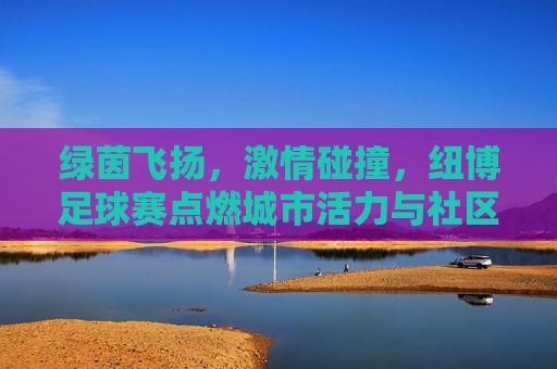 绿茵飞扬,激情碰撞,纽博足球赛点燃城市活力与社区温情