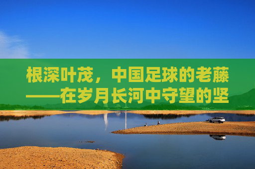 根深叶茂,中国足球的老藤——在岁月长河中守望的坚守者