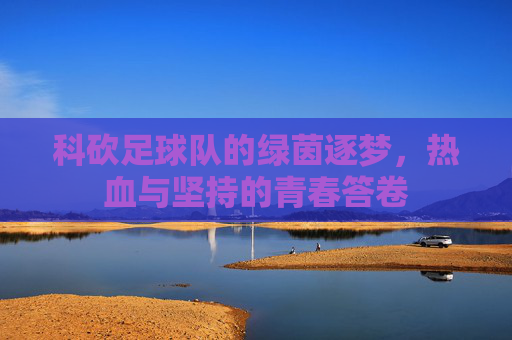 科砍足球队的绿茵逐梦,热血与坚持的青春答卷