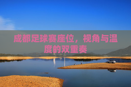 成都足球赛座位，视角与温度的双重奏