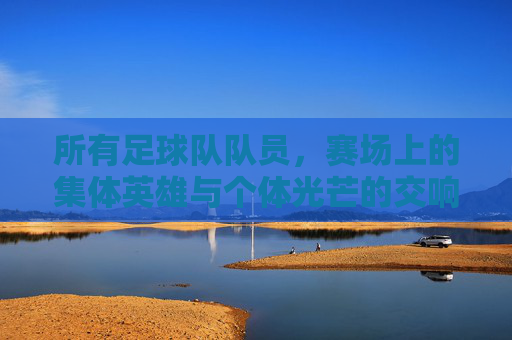 所有足球队队员，赛场上的集体英雄与个体光芒的交响