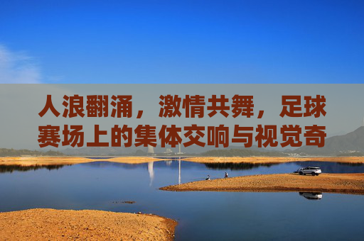 人浪翻涌,激情共舞,足球赛场上的集体交响与视觉奇观